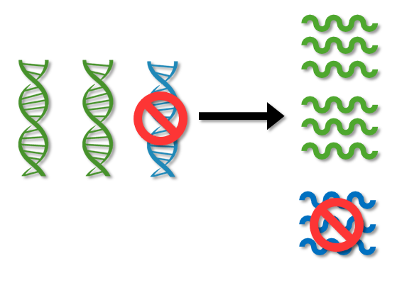 Key differences among the current and emerging Alzheimer’s clinical trials in Down syndrome 4 unlabeled ASO silences