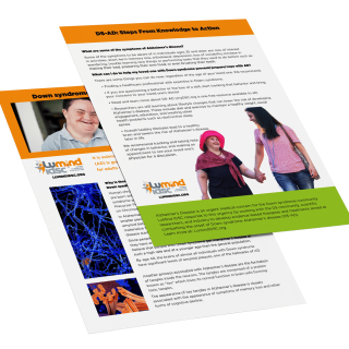 Flyer1